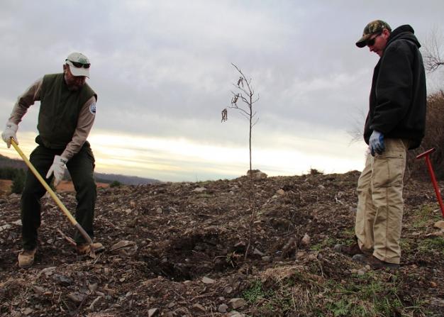 Patrick Angel, of the U.S. Office of Surface Mining, and Mike French, of Green Forests Work, planting a tree at a former Eastern Kentucky surface mine. 