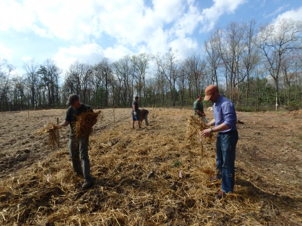 Researchers from Penn State University and the state Department of Conservation and Natural Resources have created a mock wellpad to study ways to reclaim forest land disturbed by gas development.